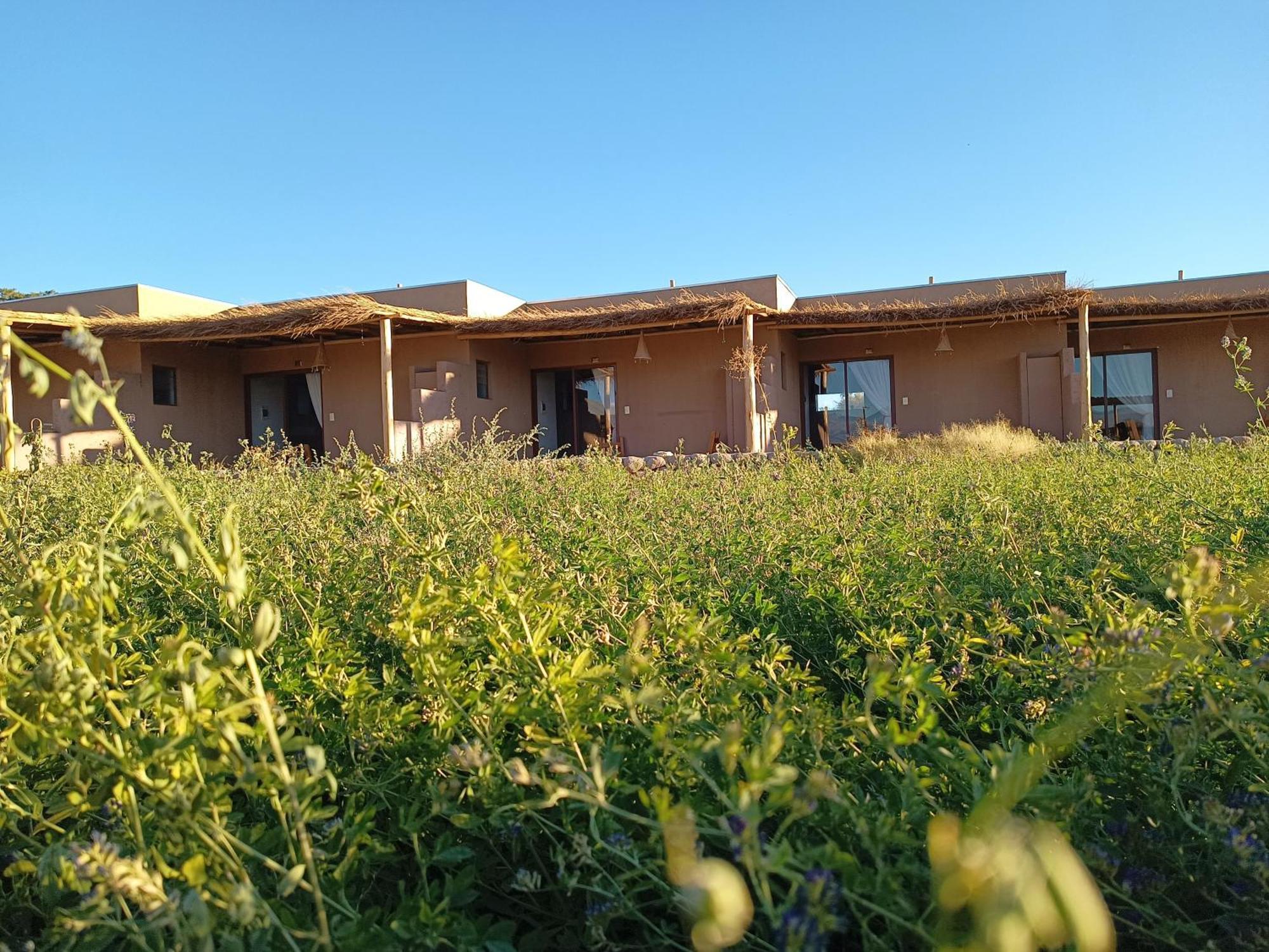 Tiunur Lodge Solor Exterior foto